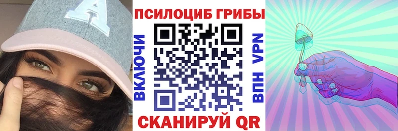 Псилоцибиновые грибы мицелий Купить где Киселёвск