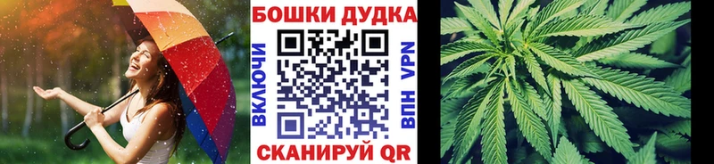 Купить закладки  Киселёвск  Бошки марихуана Amnesia 